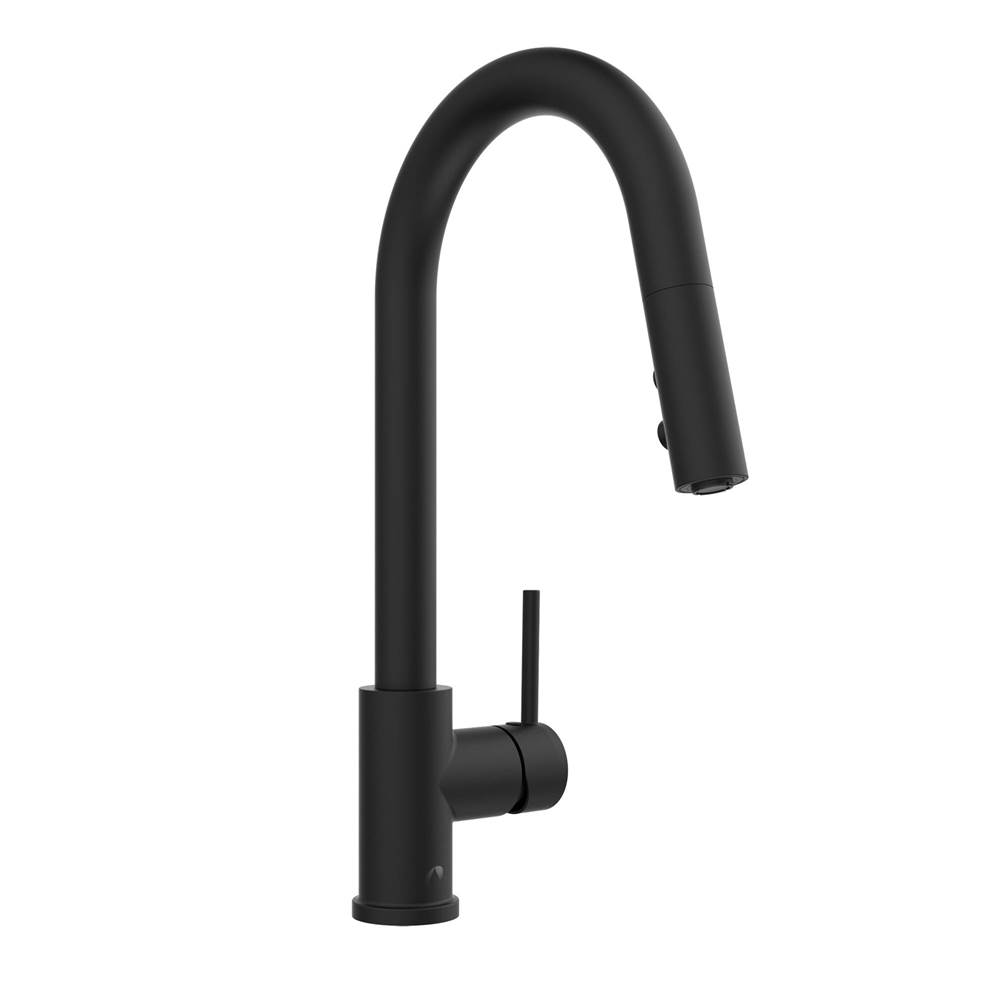 Belanger Slim Kitchen Sink Faucet w/Integrated Pull-Down Spray and Curved Spout