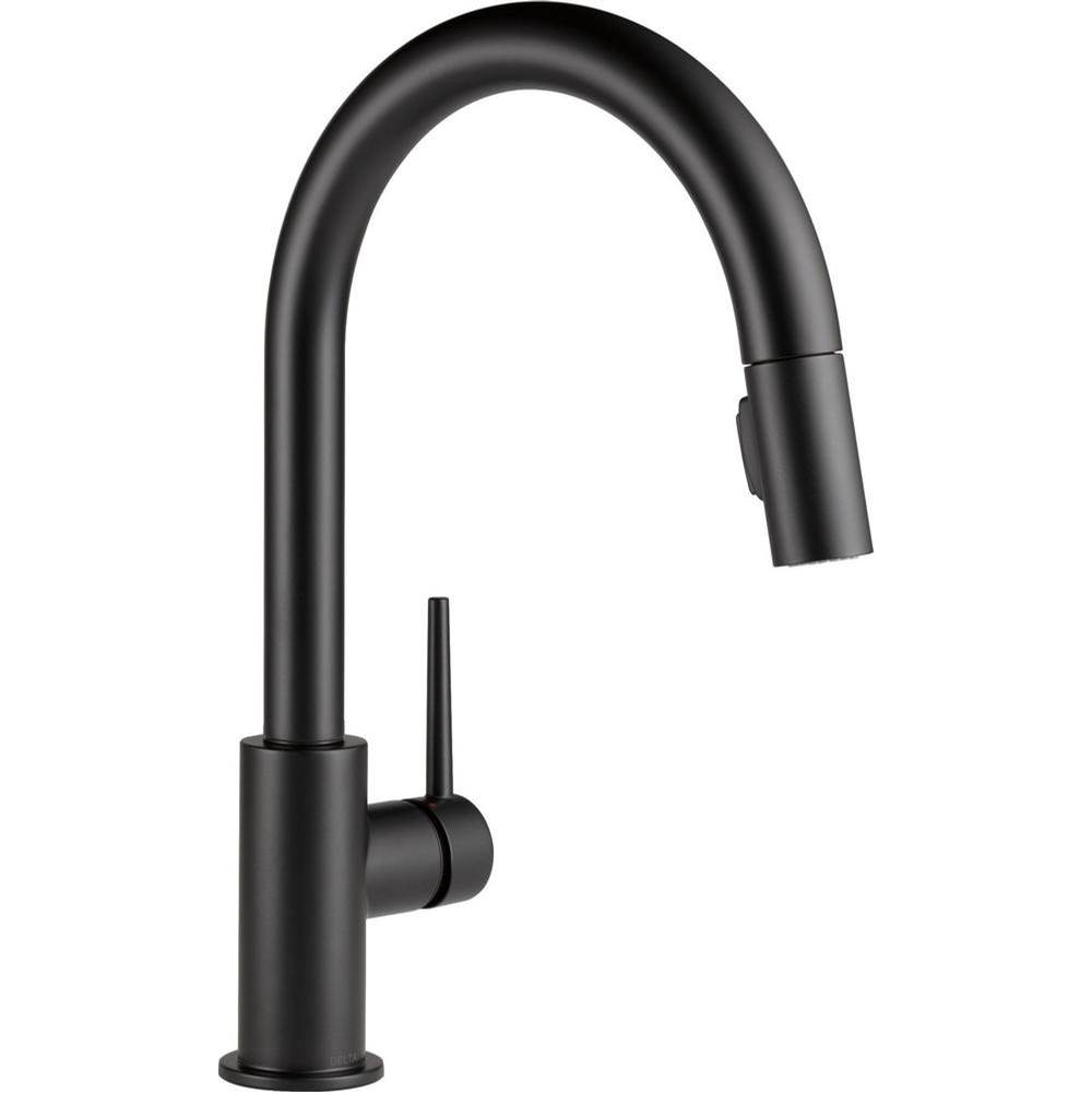 Delta Canada Trinsic® Single Handle Pull-Down Kitchen Faucet