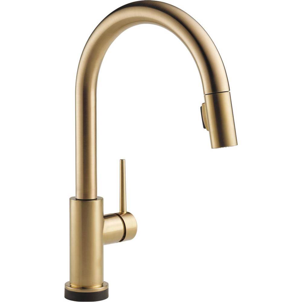 Delta Canada Trinsic® Single Handle Pull-Down Kitchen Faucet with Touch<sub>2</sub>O® Technology